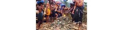 சபரி மலைக்குச் செல்லும் வழியில் உள்ள திருத்தலங்கள்